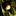 cassio