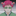 KIROKASAKI