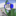 White_Spirit_34