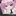 yokurinobu