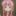 p_q