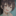 masachika