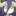 D_moN
