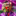 DJ_Dragon