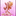 Pavshi_s_Nebes