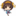 motrya