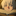 masaari