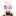 Eien.pr
