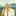 Passiflore