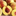 whois