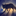 DarkFoxing