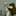 Dragow