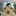 Agent_snus_228