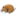 Мышь колючая
