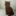 Catsarray