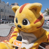 Mr.Nik