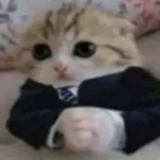 JuyCry