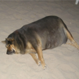 хэллоу китти