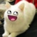 Николай Воронин