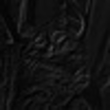 Максим Диточенко