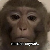 рапик епани