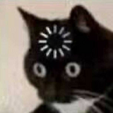 ヴァニリン