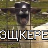 Arigoat