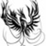 Дима Синицкий