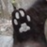 Дарья Самойлова2