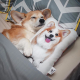 Твоя Дакимакура