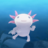 Proteus