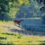 Элизабет Паркер