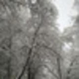 Денис Самсонов