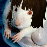 Нищий Хлеб