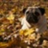 Ксения Калугина