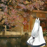 Ren.7