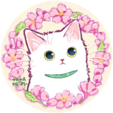 小猫