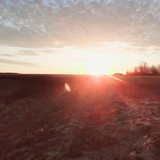 Пинча Кинча