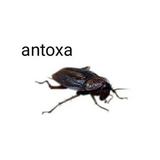 Календарь Альбийский