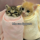 Ди1606