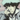 wince