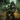 LlegionN