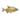 Riba․gif