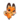 Young foxy