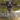Arigoat