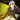 Miryu