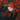 Lee_