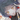 wheat_yu