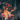 INext