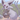 evee.Origami